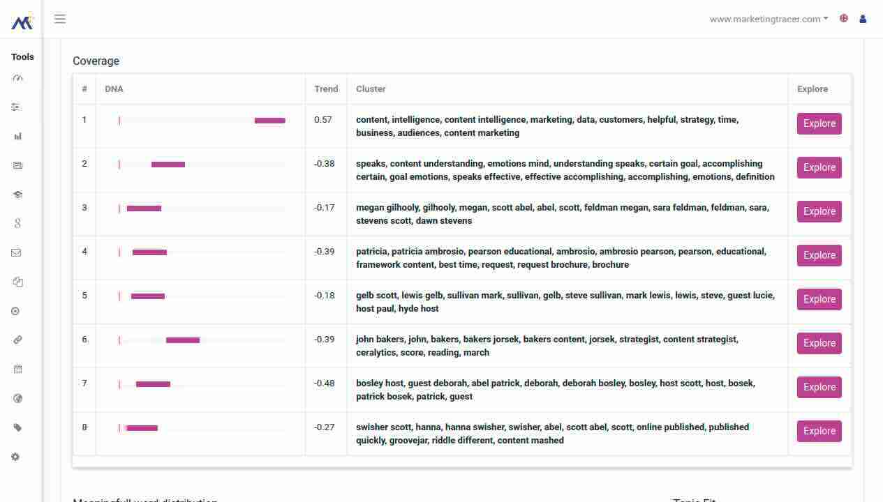 Die Inhaltsanalyse von MarketingTracer mit den Themenclustern aus den Top 100.